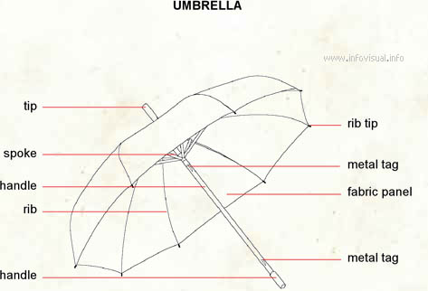 Umbrella  (Visual Dictionary)